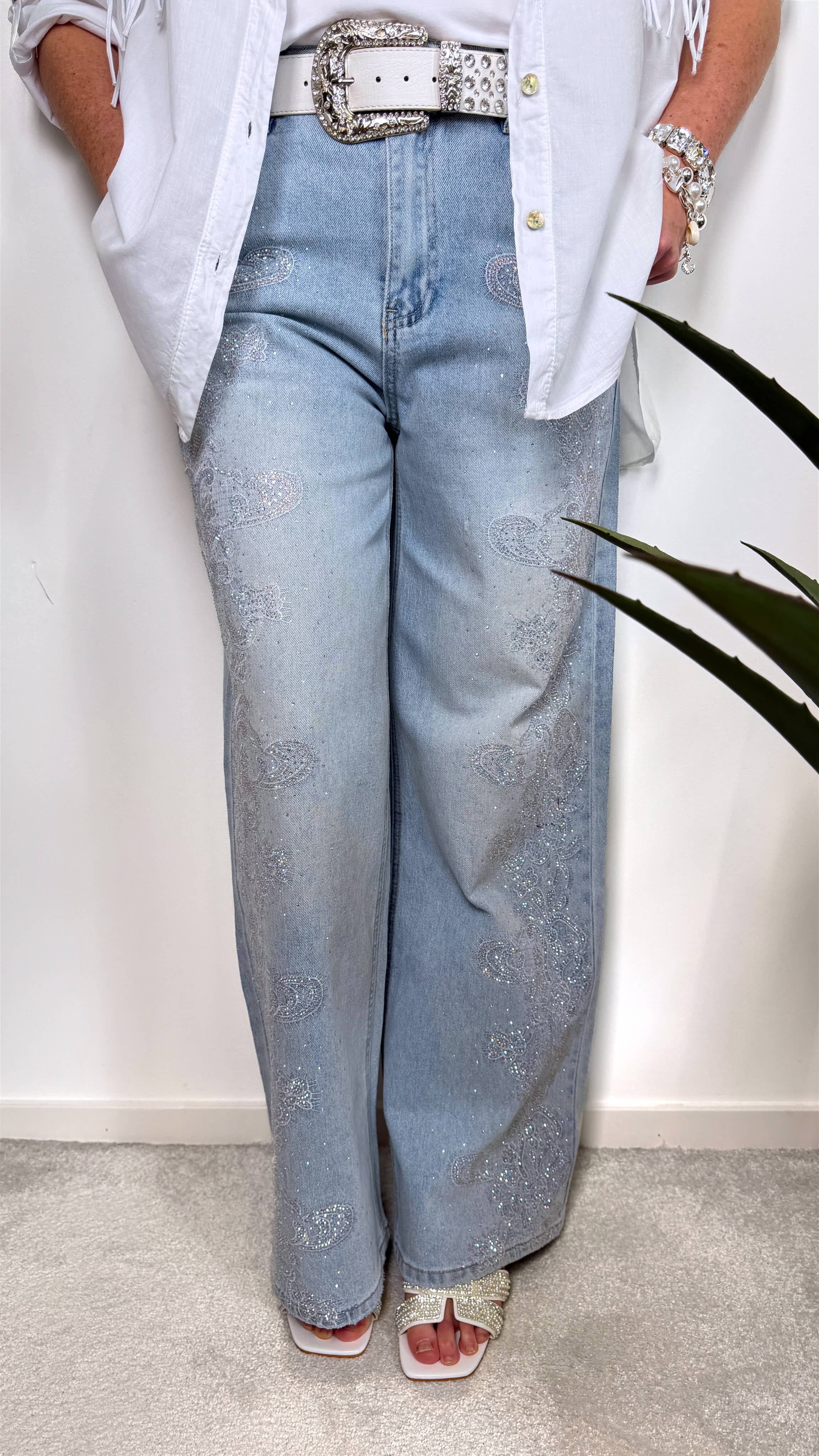 Jeans Monaco Shine (MC-5397)