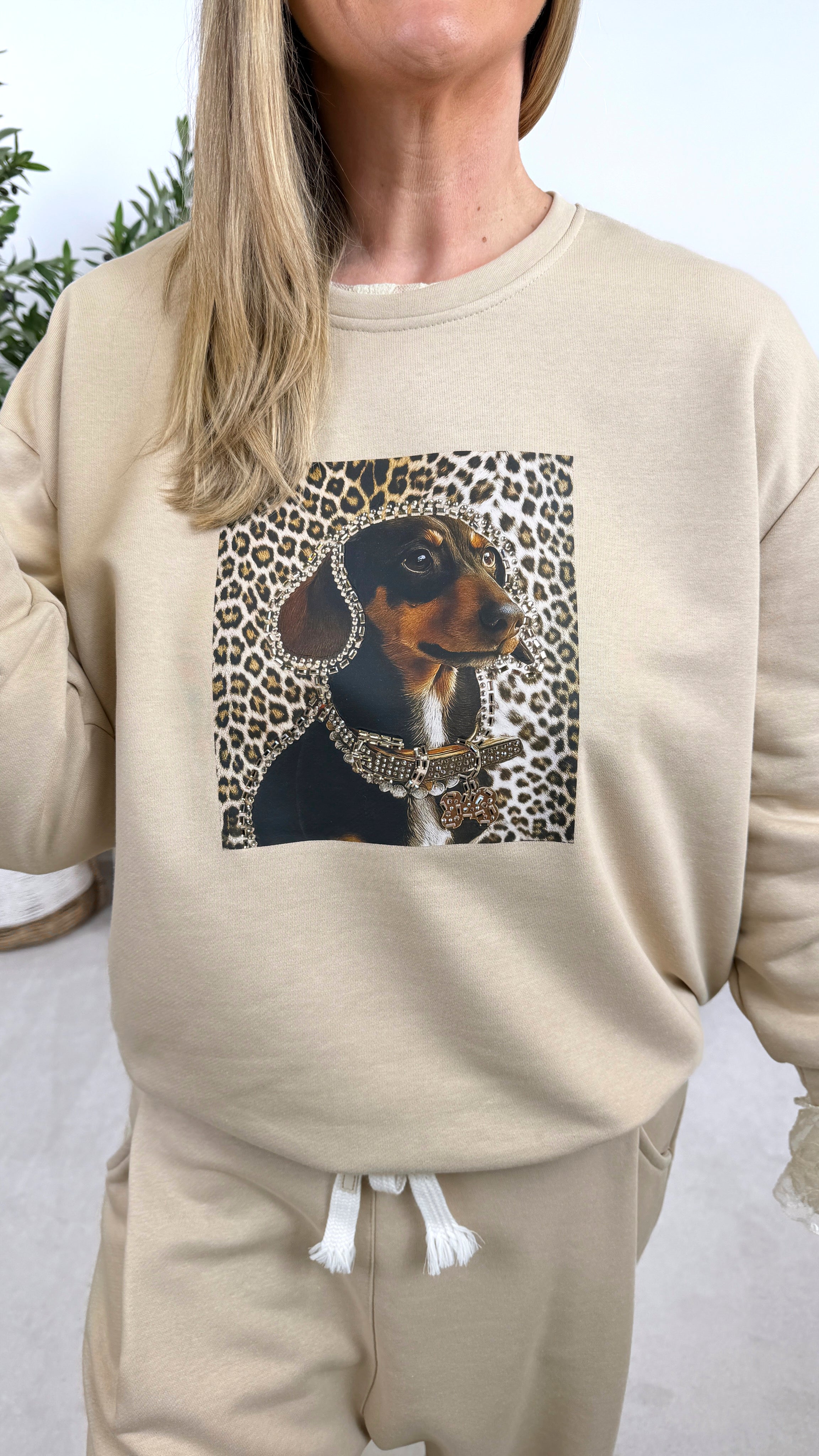 Sweatshirt Leo Dog *Beige*