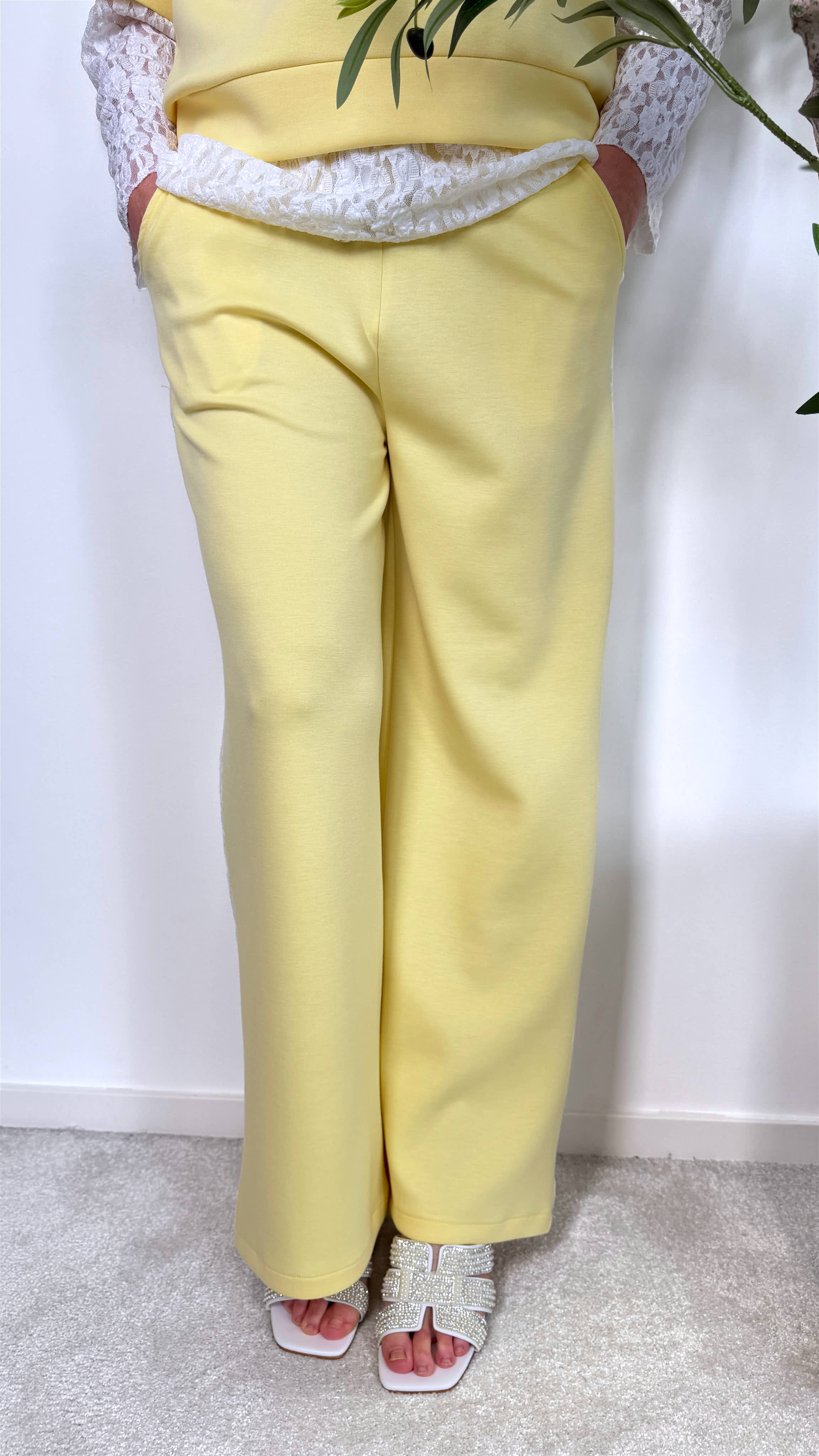 Sweathose Monaco Sport *Gelb*